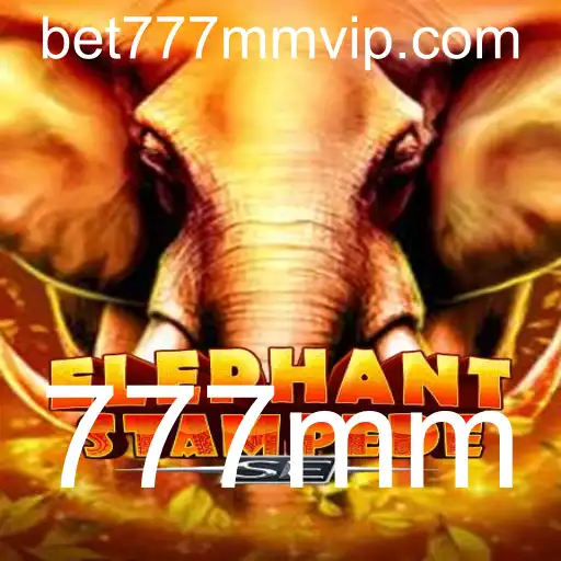 Descubra a Aventura de ElephantStampedeSE com 777mm